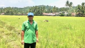 Lahan-bekas-tambang-emas-mampu-disuladnadKabd.jpg