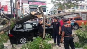 Pohon-tumbang-timpa-mobil-di-Padang-9102025.jpg