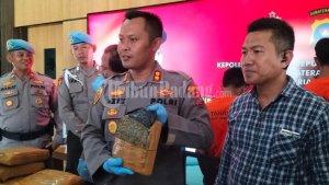 Polres-Pariaman-Amankan-77-Paket-Besar-Ganja-Kapolres-Hadiah-Peringatan-Hari-Bhayangkara-ke-77.jpg