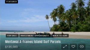 Pulau-Kecil-di-Mentawai-Dijual-di-Situs-Luar-Negeri-Harganya-Rp21-Miliar.jpg