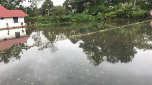 Sawah-petani-terendam-di-Bukittinggi-2292025.jpg