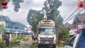 Sebuah-truk-kontainer-medKecd025.jpg