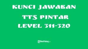 TTS-PINTAR-Ilustrasi-Kunci-Jawaban-TTS-Pintar-Level-311-sampai-320.jpg
