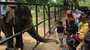 Taman-Satwa-Kandi-menjadi-satu-di-a.jpg