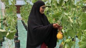 WISATA-PETIK-MELON-Salah-satu-pengunjusn-di-Greenhouse-yangs-Kecams2025.jpg