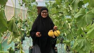 WISATA-PETIK-MELONs.jpg