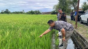 Wakil-ketua-DPRD-Kota-Pariaman-Riza-Saputra-2792025.jpg