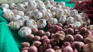bawang-merah-di-Pasar-Sijunjung-2692025.jpg