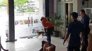 evakuasi-anjing-di-Padang-12112025.jpg