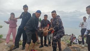 evakuasi-korban-hanyut-di-Padang-20102025.jpg