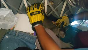 evakuasi-kucing-di-Padang-11102025.jpg