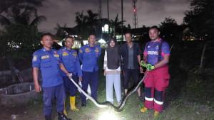 evakuasi-ular-dari-sumur-warga-di-Padang-Utara-7112025.jpg
