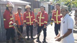 evakuasi-ular-di-Padang-Selatan-27102025.jpg