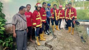 evakuasi-ular-di-nanggalo-Padang-27102025.jpg