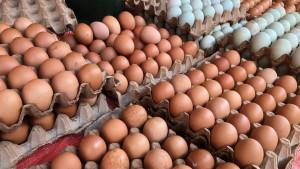 harga-telur-ayam-di-Sijunjung-2192025.jpg