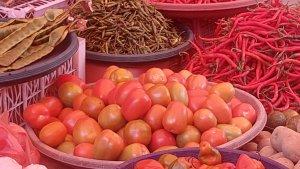 harga-tomat-di-alahan-panjang-372025.jpg