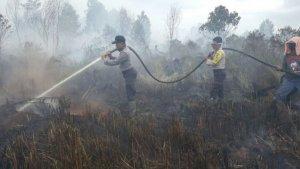 titik-panas-bisa-berpotensi-menimbulkan-kebakaran-lahan-dan-hutan.jpg