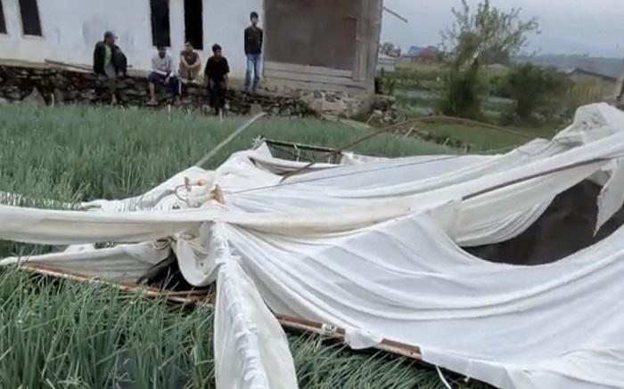 Angin Puting Beliung Terjang Pesta Pernikahan di Solok: Tenda Pelaminan Terbang, Kebun Rusak