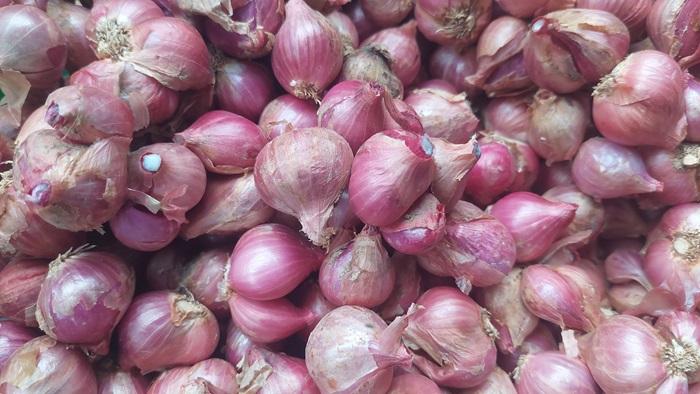 Bawang-merah-asli-Nagari-Alahan-Panjang-Kecamatan-Lembah-Gumanti-Kabupaten-Solok.jpg