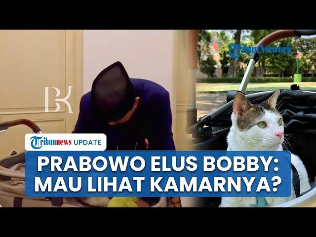 Bobby-Kertanegara-Masuk-Istana-Naik-Pet-Stroller-Prabowo-Elus-Kucing-Kesayangan.jpg