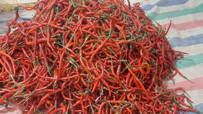 Usai Libur Nataru, Harga Cabe Merah di Solok Rp38 Ribu per Kilogram