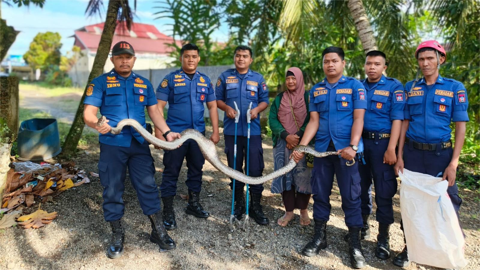Evakuasi-Ular-di-Padang-5102025.jpg