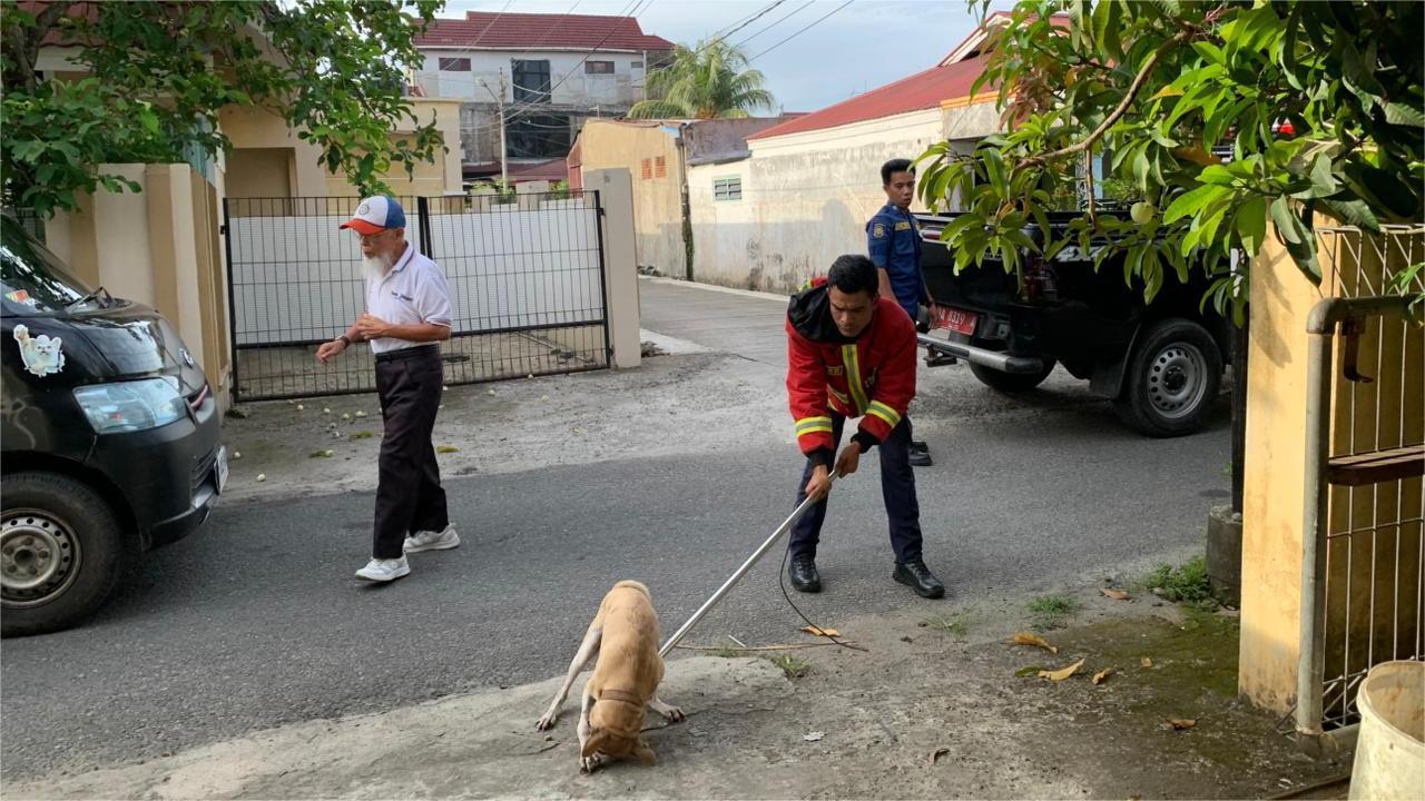 Evakuasi-anjing-di-Padang-28102025.jpg