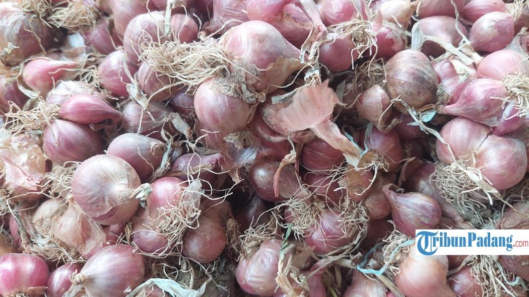 Harga-bawang-merah-di-Pasar-Sayur-Alahan-Panjang-Kecamatan-Lembah-Gumanti-Solok.jpg