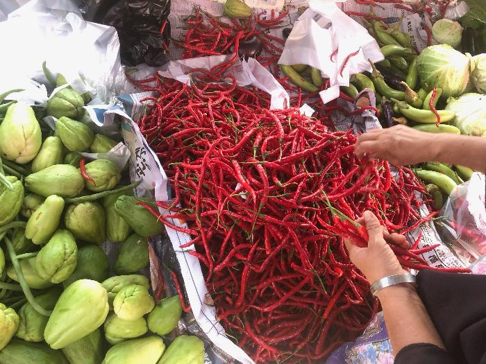 Naik Lagi, Harga Cabai Merah di Sijunjung Tembus Rp120 Ribu Sekilo, Rawit Rp100 Ribu