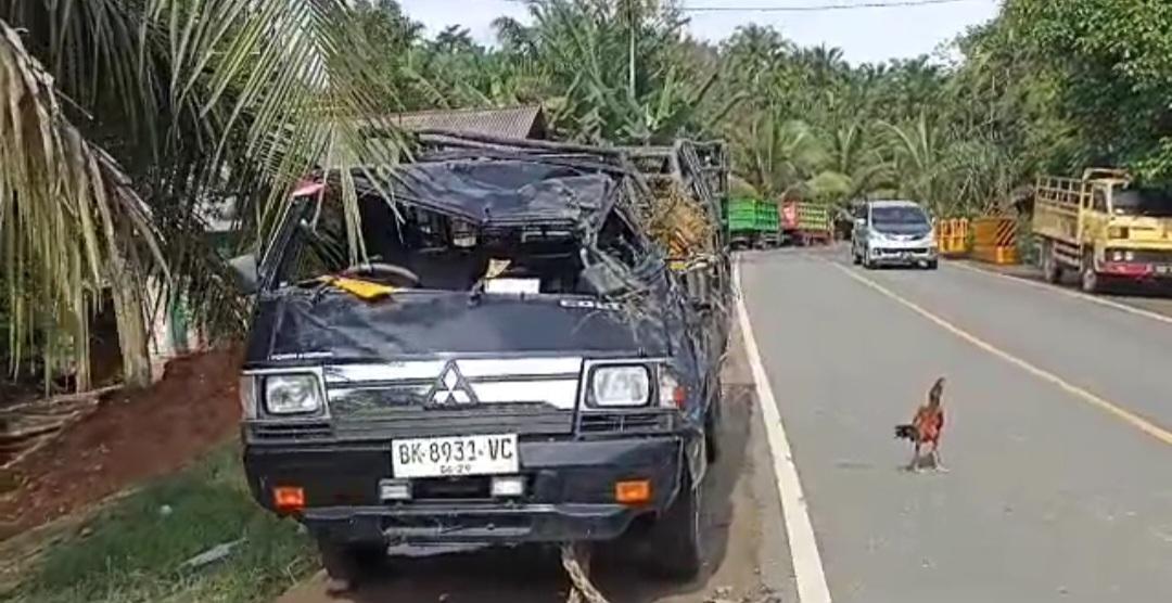 Pikap Pembawa Ikan Masuk Jurang di Lunang Pesisir Selatan, Beruntung Sopir Selamat