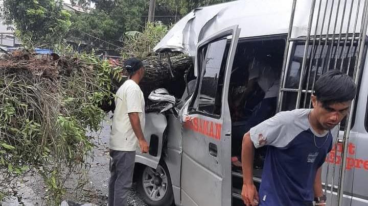 Satu Mini bus Tertimpa Pohon Tumbang di Pasaman Barat, Polisi Sebut Ada Satu Keluarga di Dalam Mobil