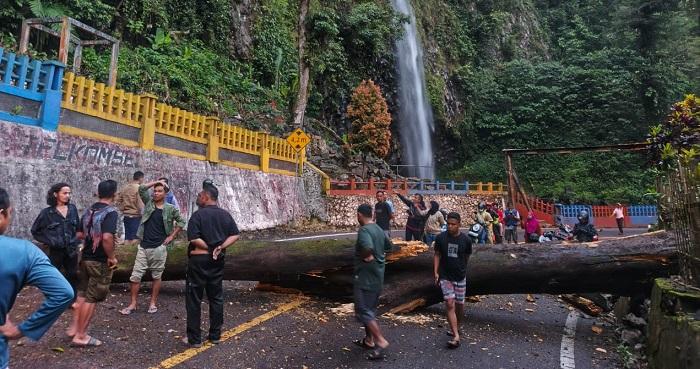 Pohon Tumbang Tutup Jalan Padang–Bukittinggi di Lembah Anai, Petugas Bergerak Cepat