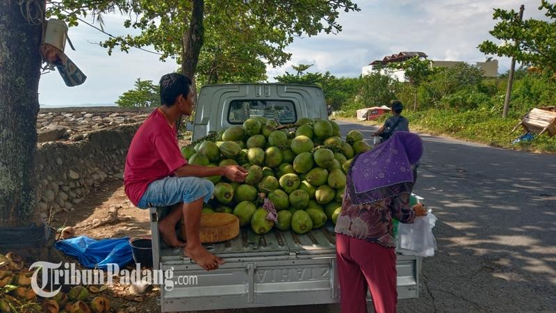 Pedagang-kelapa-di-kawasan-Pantai-Padang.jpg