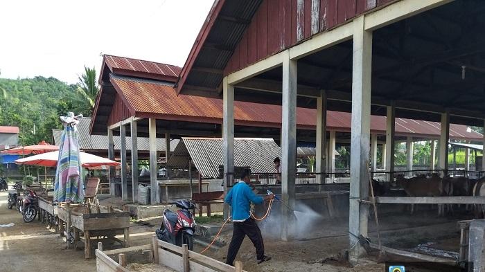 Penyemprotan-Disinfektan-di-Pasar-Ternak-Palangki-Nagari-Palangki123.jpg