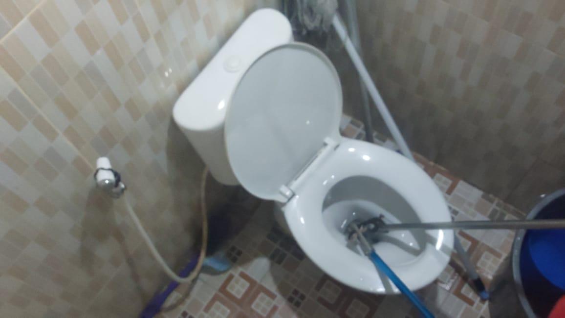 Petugas-Pemadam-Kebakaran-Kota-Padang-pada-saat-mengevakuasi-seekor.jpg