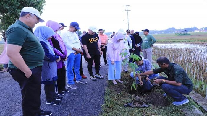 Cara Unik Pemkot Solok Hijaukan Kota, Setiap Pengantin Baru Diharuskan Tanam Dua Pohon