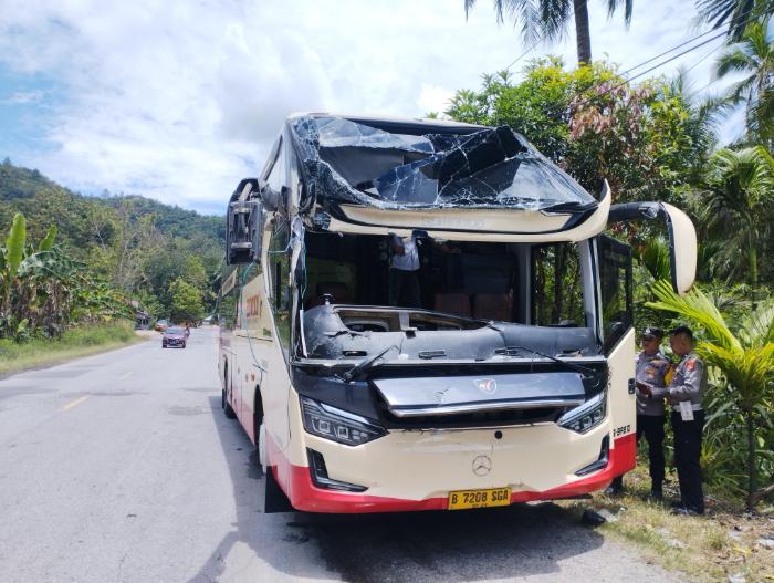 Kronologi Kecelakaan Bus Sembodo di Solok, Akibat Truk Rem Mendadak di Depan