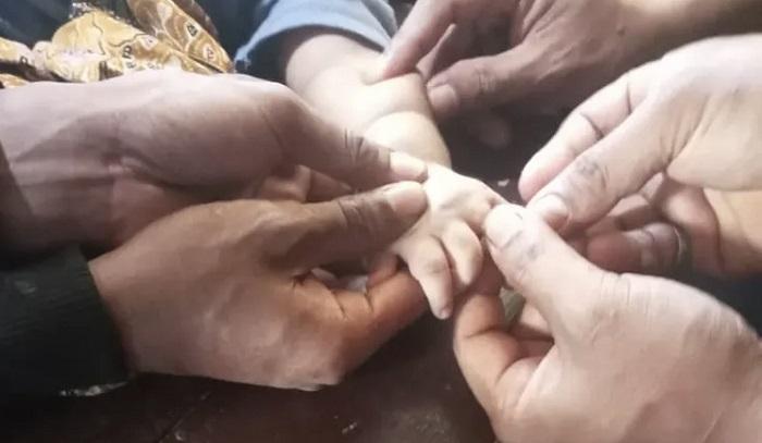 Bukan Cuma Api! Damkar Sijunjung Evakuasi Hewan Liar hingga Potong Cincin Selama Januari-Mei 2025