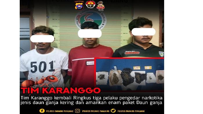 Tiga-pemakai-narkotika-jenis-ganja-ditangkap-polisi-di.jpg
