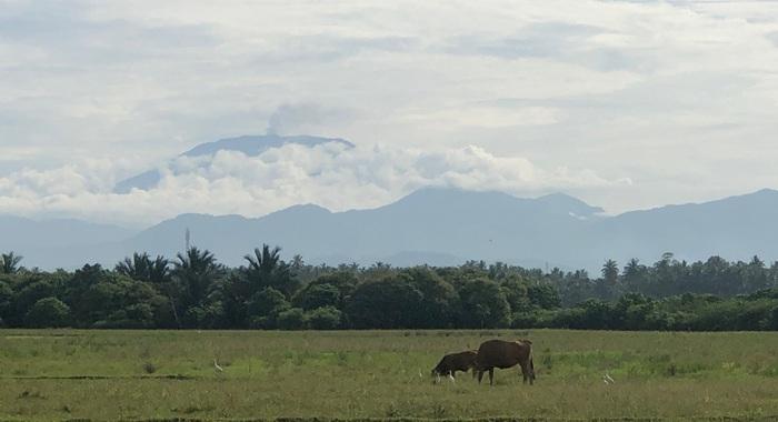 aktivitas-vulkanik-ini-tidak-mengganggu-penerbi.jpg