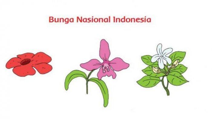 bunga.jpg