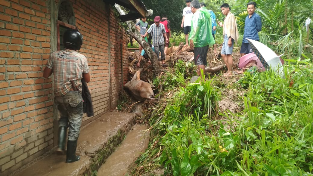 hewan-ternak-warga-ikut-hanyut-terbawa-arus-banjir-bandang.jpg