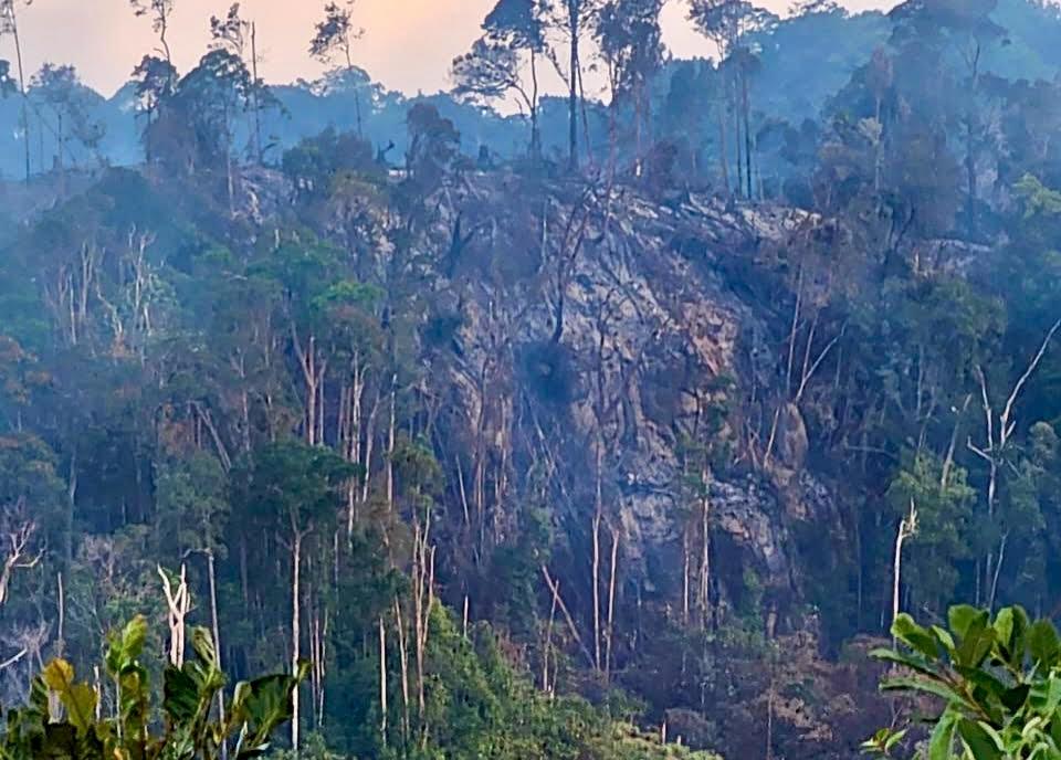hutan-lindung-yang-terbakar-di-Nagari-Pintu-Padang.jpg