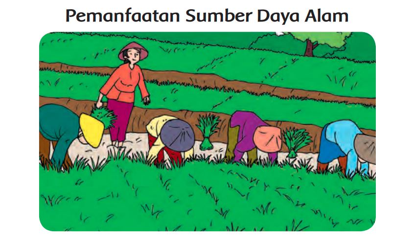 identifikasilah-berbagai-sumber-daya-alam-dan-pemanfaatannya-di-daerah-tempat-tinggalmu.jpg
