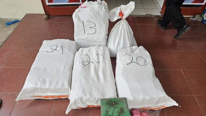 Kronologi Kurir Narkoba di Sumbar Ditangkap, Bawa 74 Kg Ganja dalam Mobil Box Berisi Buah