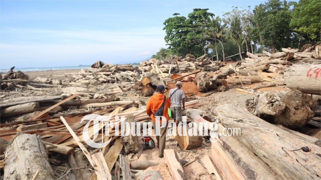 kayu-gelondong-pantai-parkit-padang-2312026.jpg
