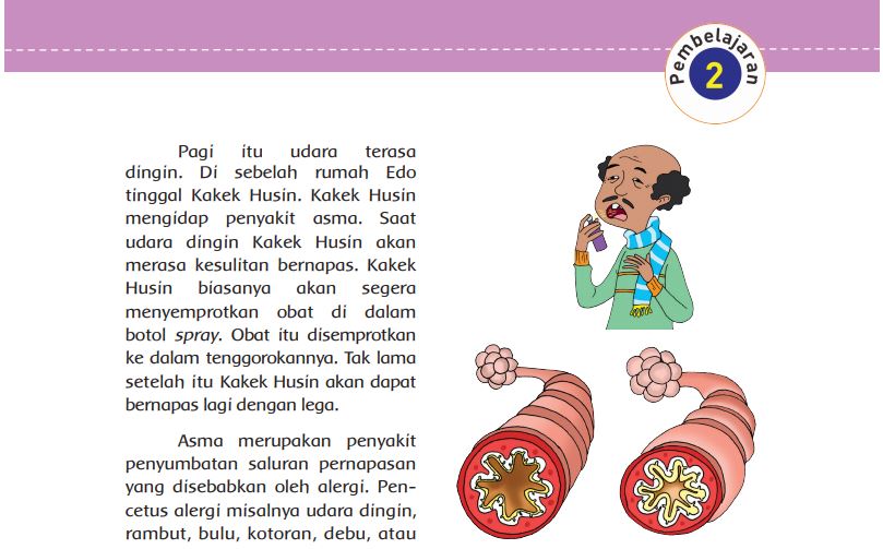 kunci-jawaban-tema-2-kelas-5-hal-58apa-yang-terjadi-pada-organ-pernapasan-penderita-penyakit-asma.jpg