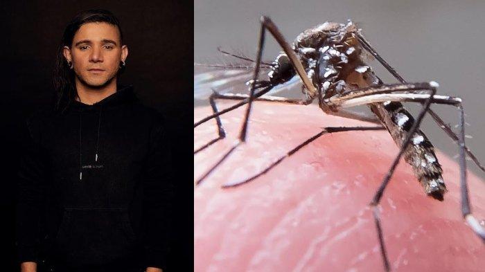 lagu-djskrillex-ampuh-usir-nyamuk-demam-berdarah.jpg