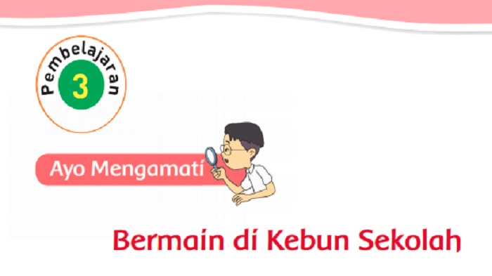 pembelajaran-3-subtema-3-tema-7-kelas-2.jpg