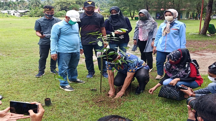 penanaman-pohon-di-kawasan-pantai-air-manis-padang-sabtu-592020.jpg